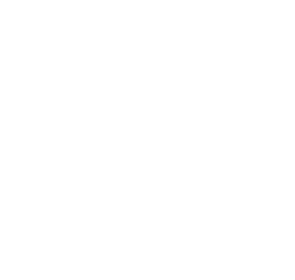 Investable Assets Icon